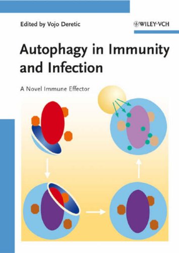 Autophagy In Immunity And Infection A Novel Immune Effector 1st Edition Vojo Deretic