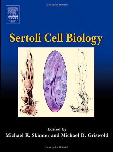 Sertoli Cell Biology 1st Edition Michael K Skinner Editor