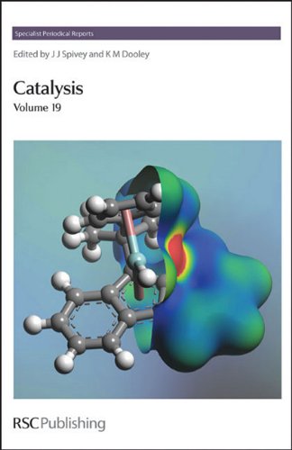 Catalysis Vol 19 Specialist Periodical Reports 1st Edition Jj Spivey