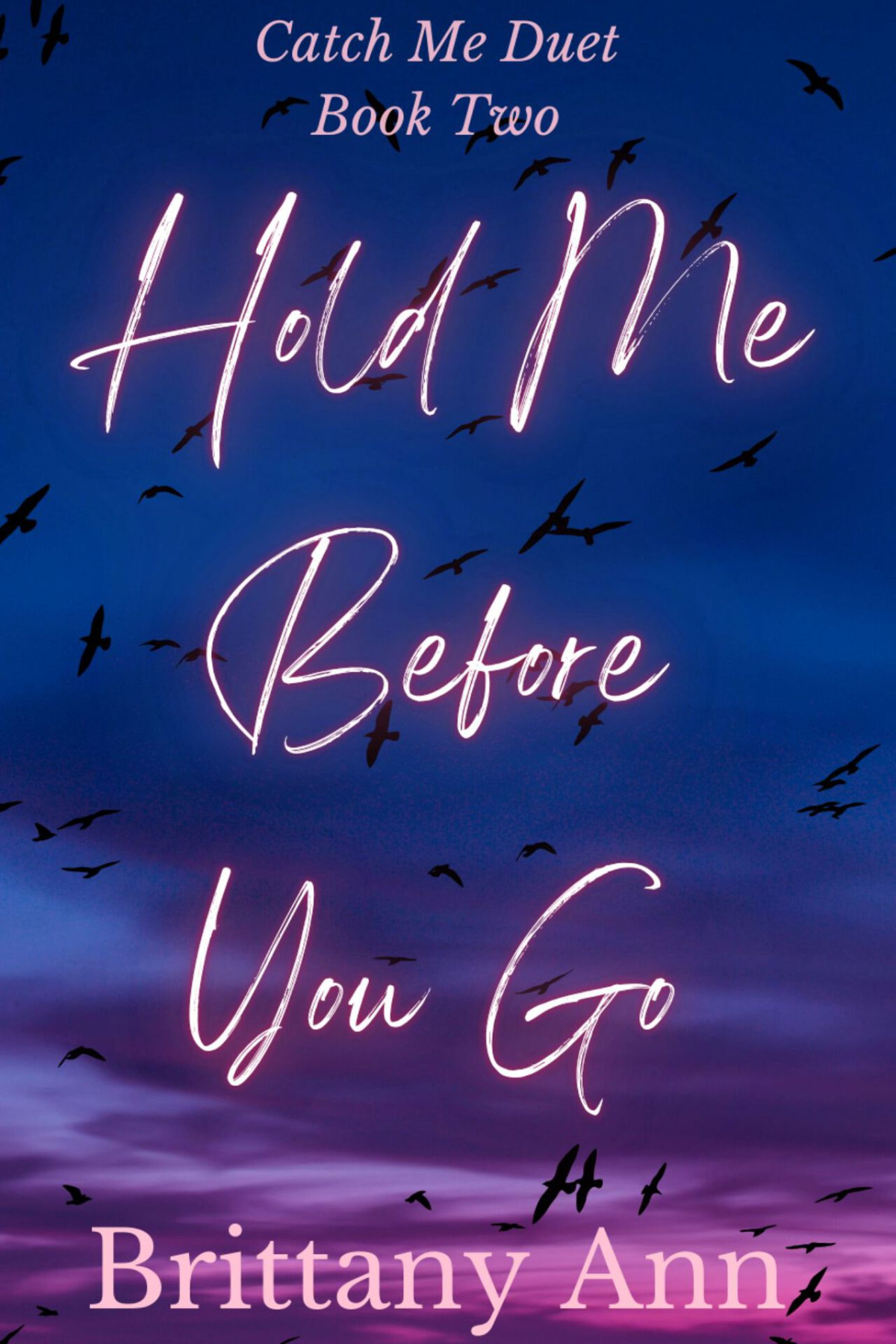 Hold Me Before You Go Catch Me Duet Book 2 1st Edition by Brittany Ann B0DHJPM2RS