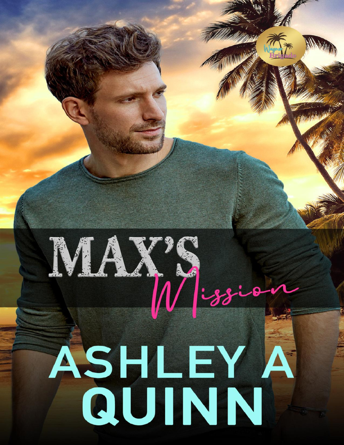 Maxs Mission Ashley A Quinn