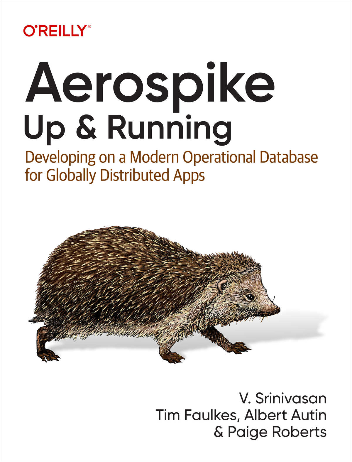 Aerospike V Srinivasan