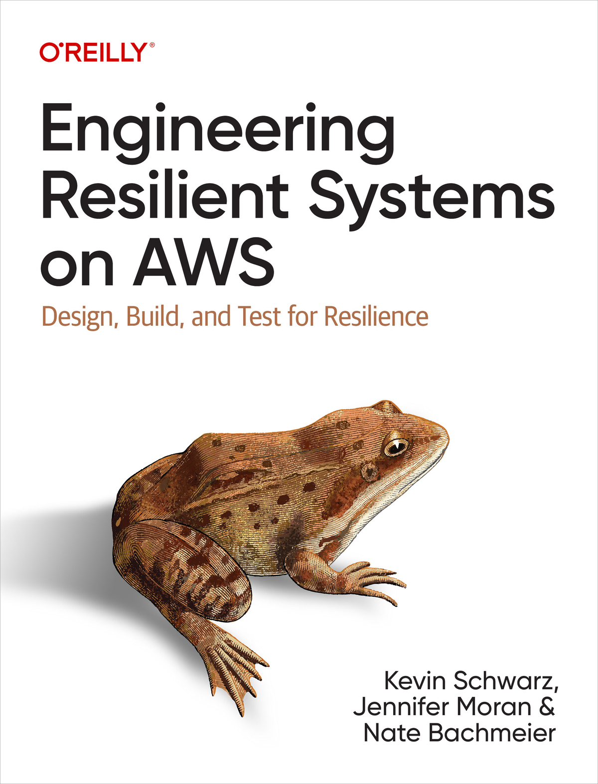 Engineering Resilient Systems On Aws Kevin Schwarz