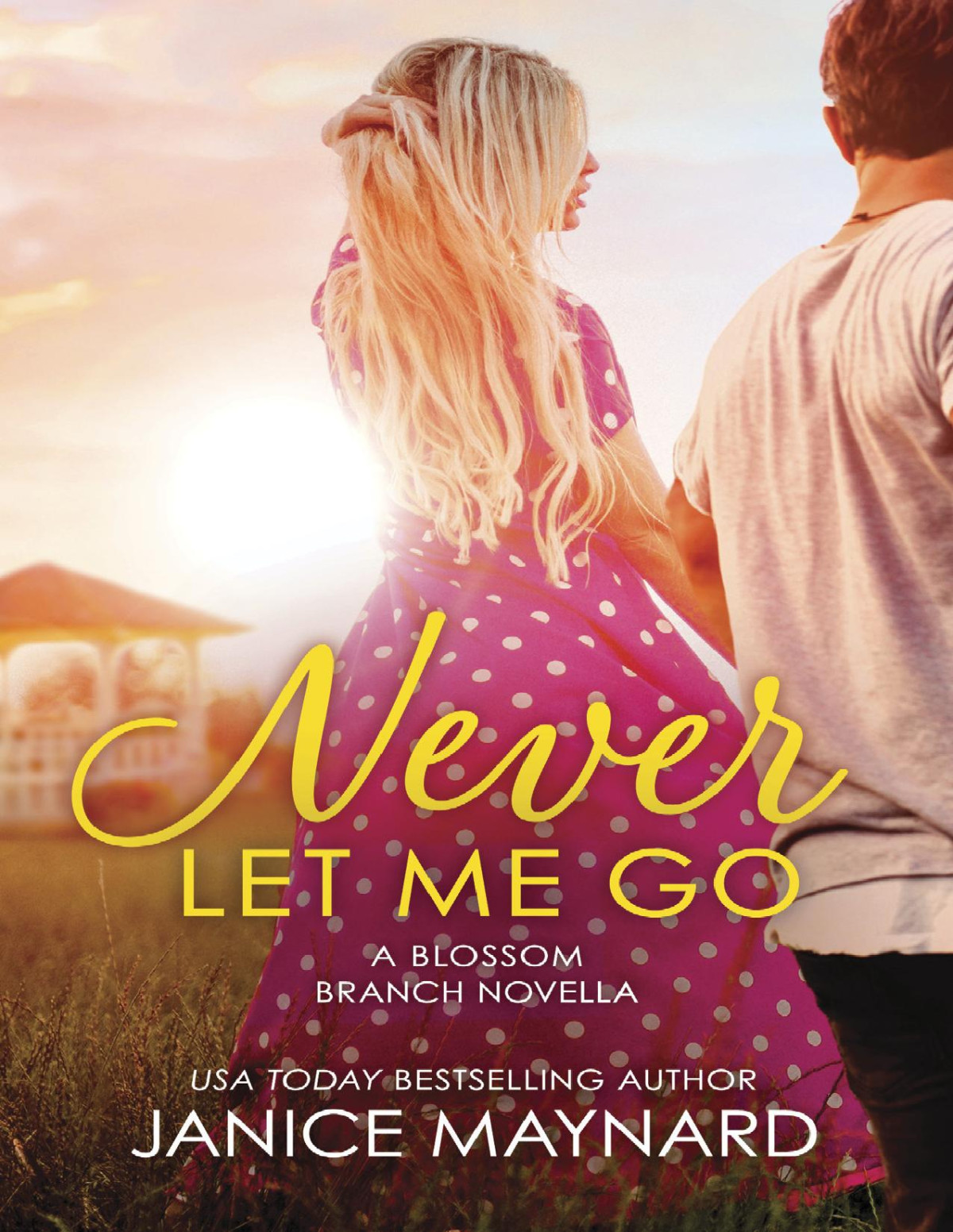 Never Let Me Go Janice Maynard