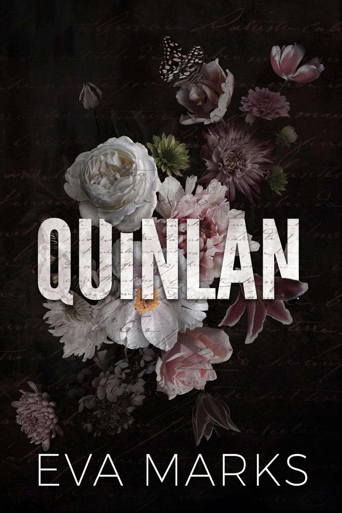 Quinlan Why Choose Dark Romance Eva Marks