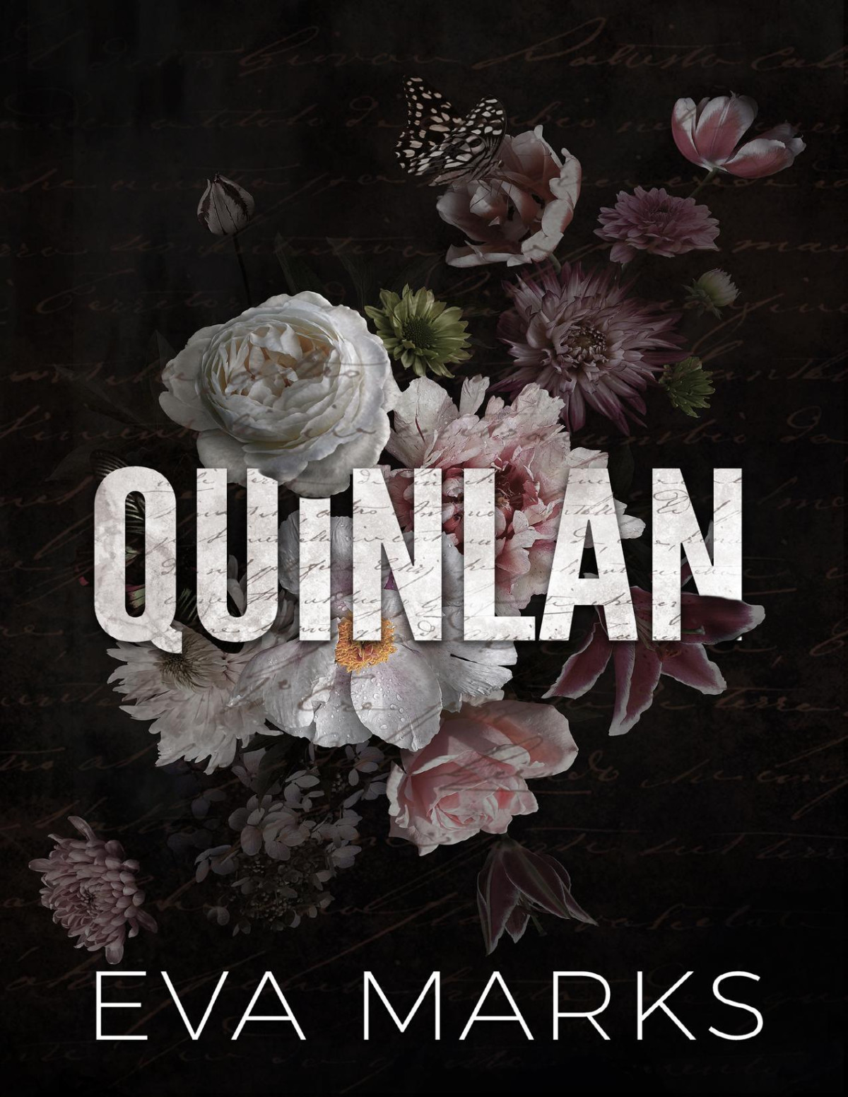 Quinlan Why Choose Dark Romance Eva Marks