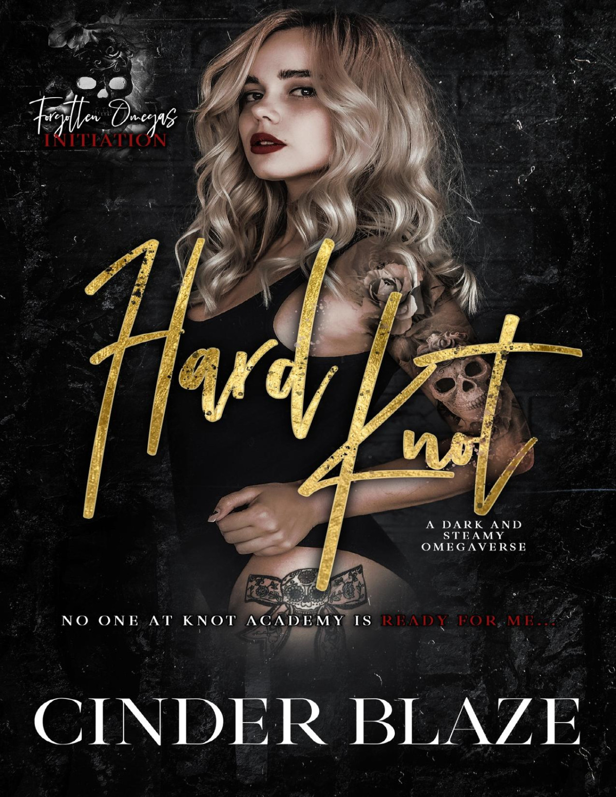 Hard Knot A Dark And Steamy Omegaverse Forgotten Omegas Initiation Book 1 1st Edition Cinder Blaze