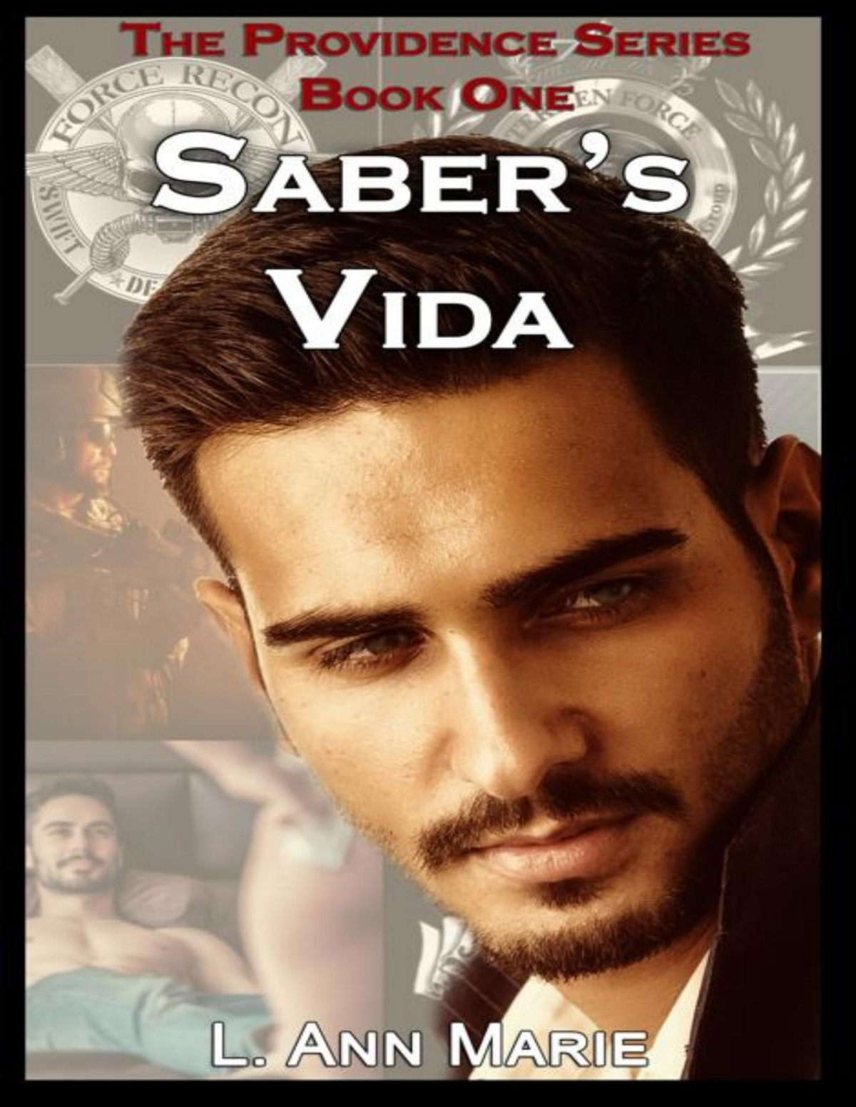 Sabers Vida Book One The Providence Series 1 L Ann Marie