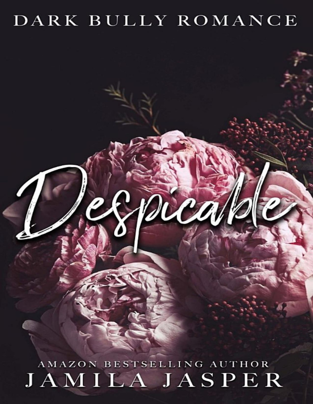 Despicable Dark Bully Romance 1st Edition Jamila Jasper