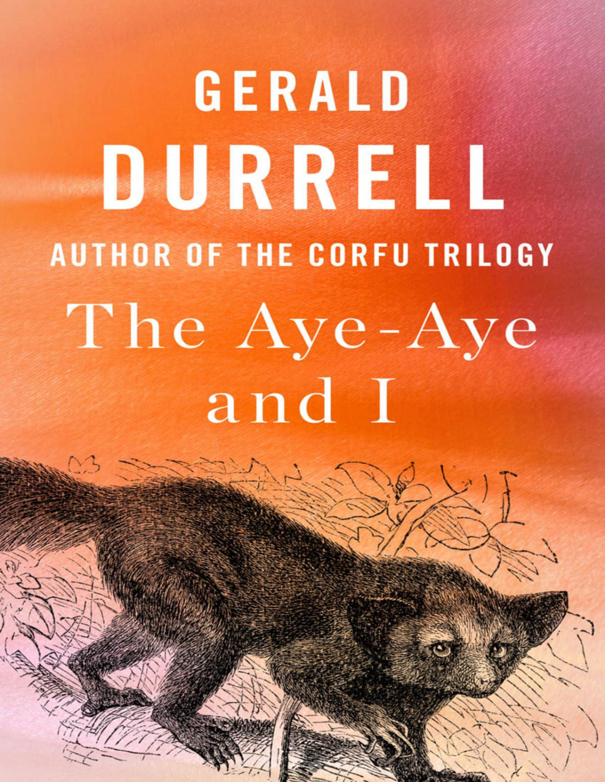 The Ayeaye And I Gerald Durrell