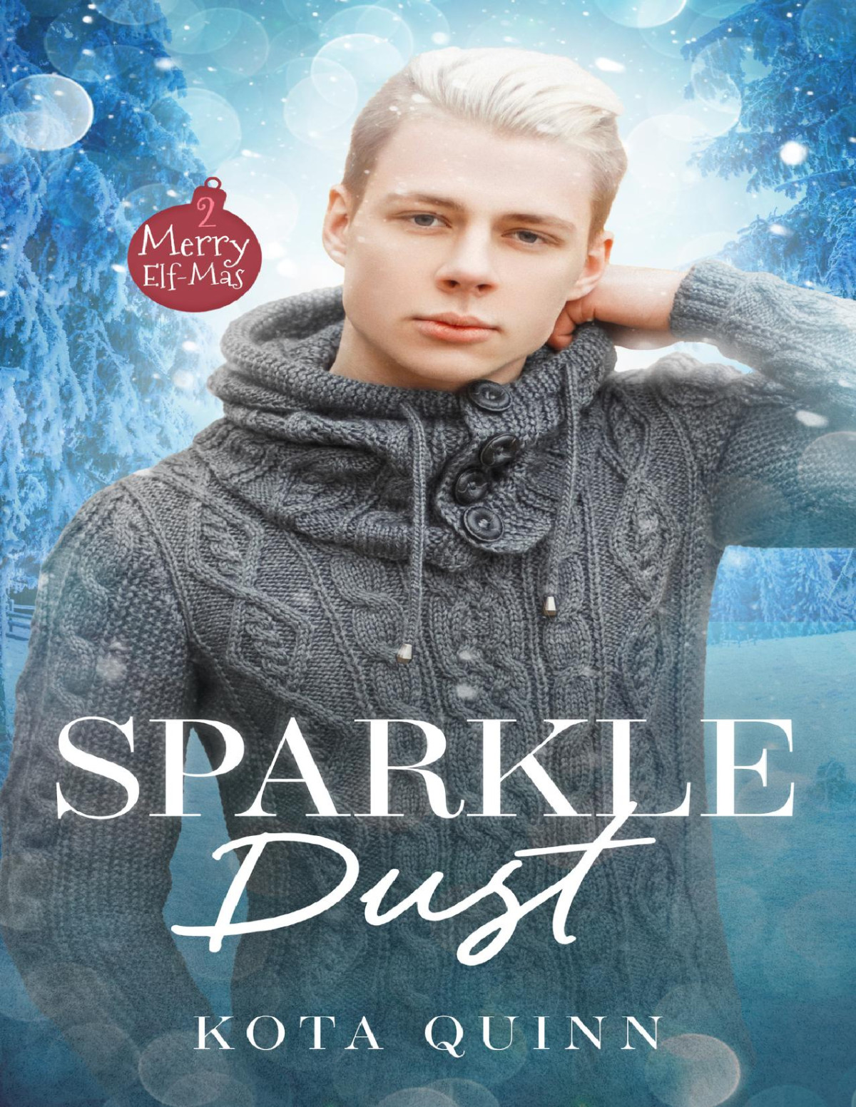 Sparkledust An MM Holiday Romance Kindle Edition by Kota Quinn ISBN B0DF47RSKP
