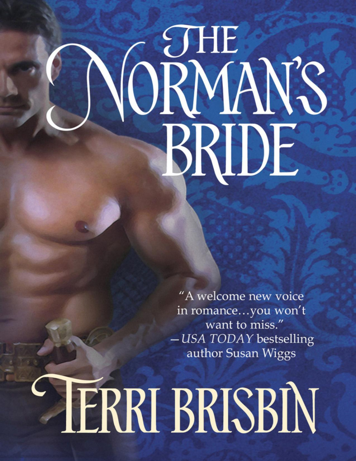 The Normans Bride Terri Brisbin