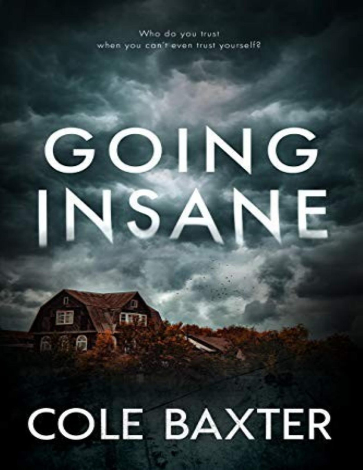 Going Insane A Psychological Thriller With A Twist You Wont See Coming Cole Baxter
