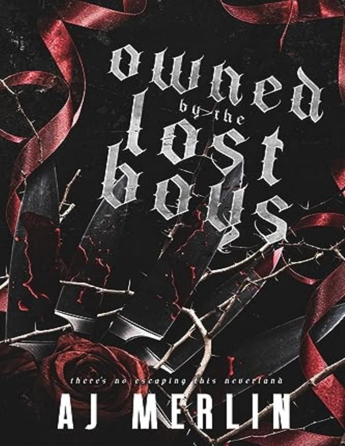 Owned By The Lost Boys Aj Merlin