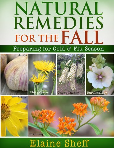 Natural Remedies For The Fall Preparing For Cold Flu Season Elaine Sheff Lynn Purl Rebecca Holman