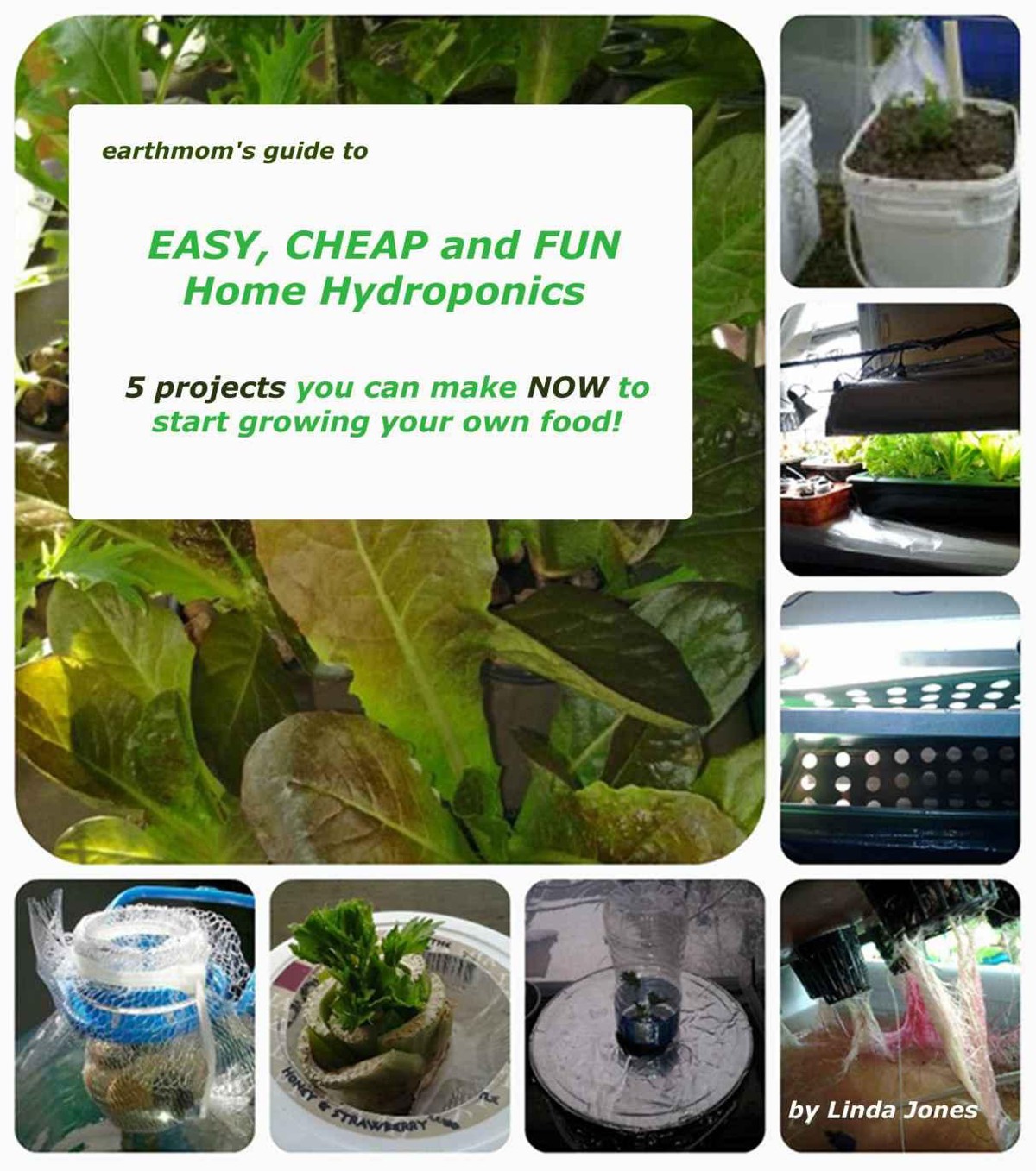 Earthmoms Guide To Easy Cheap And Fun Home Hydroponics 5 Projects You Can Make Now To Get Started Growing Your Own Food Linda Jones