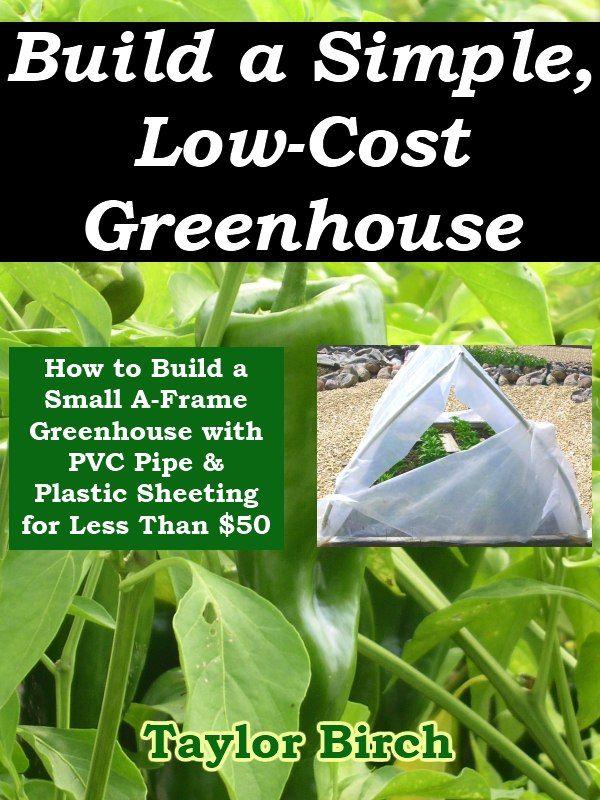 How To Build A Small Aframe Greenhouse With Pvc Pipe Plastic Sheeting For Less Than 50 Taylor Birch
