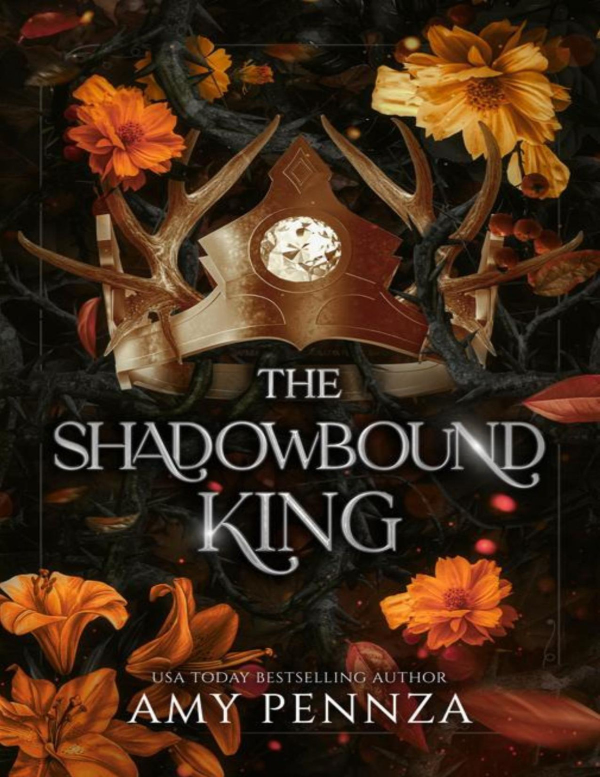 The Shadowbound King Amy Pennza