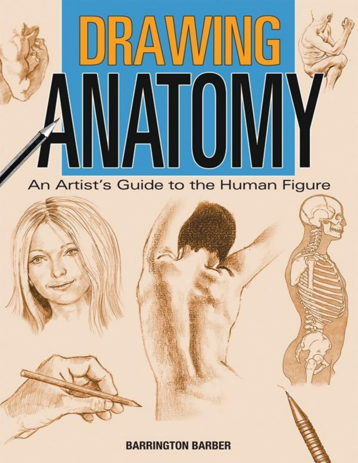 Drawing Anatomy An Artists Guide To The Human Figure Pdfdrivecom Barrington Barber