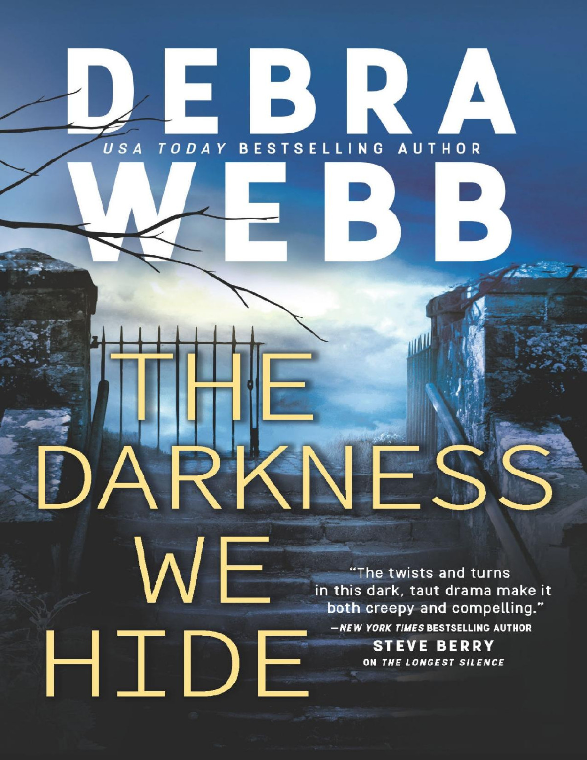 The Darkness We Hide Debra Webb