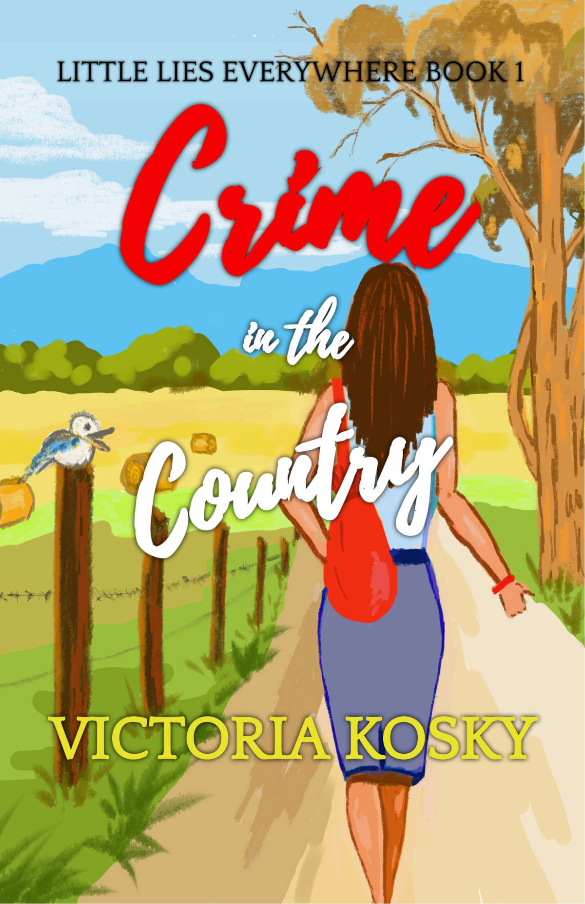 Crime in the Country Little Lies Everywhere Book 1 1st Edition by Victoria Kosky B09B84227L