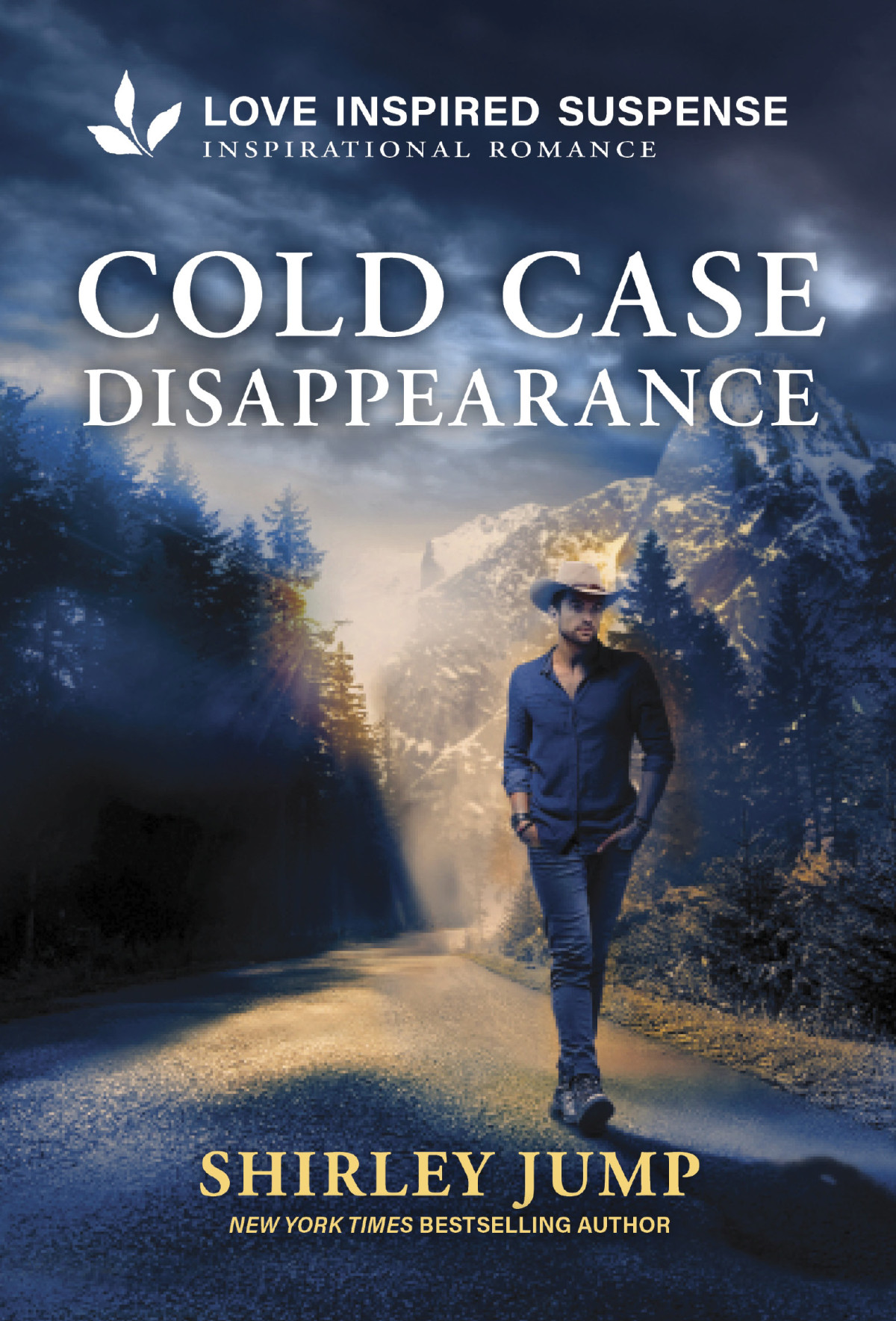 Cold Case Disappearance Shirley Jump