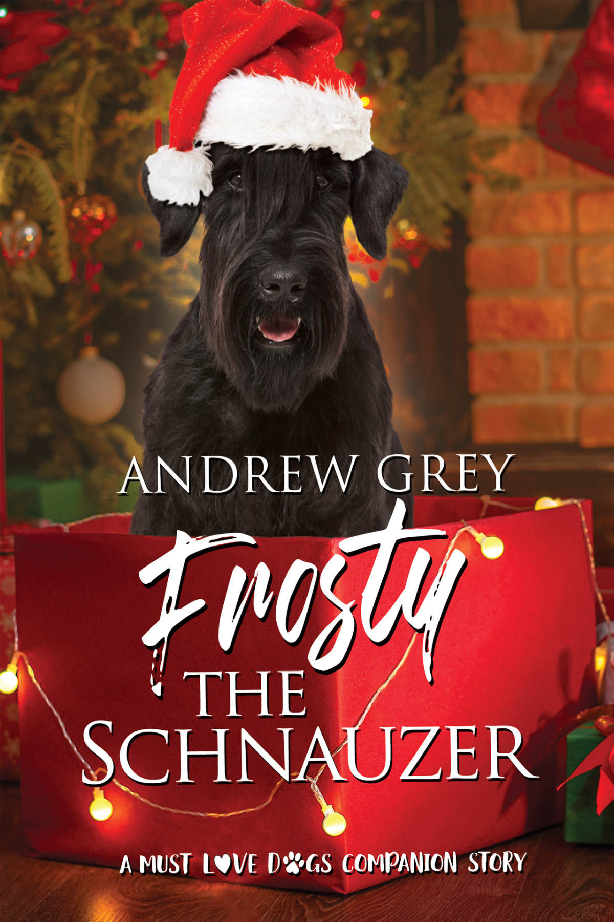 Frosty The Schnauzer Andrew Grey