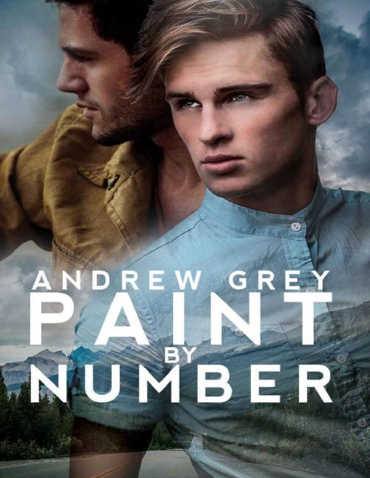 Paint By Number Andrew Grey