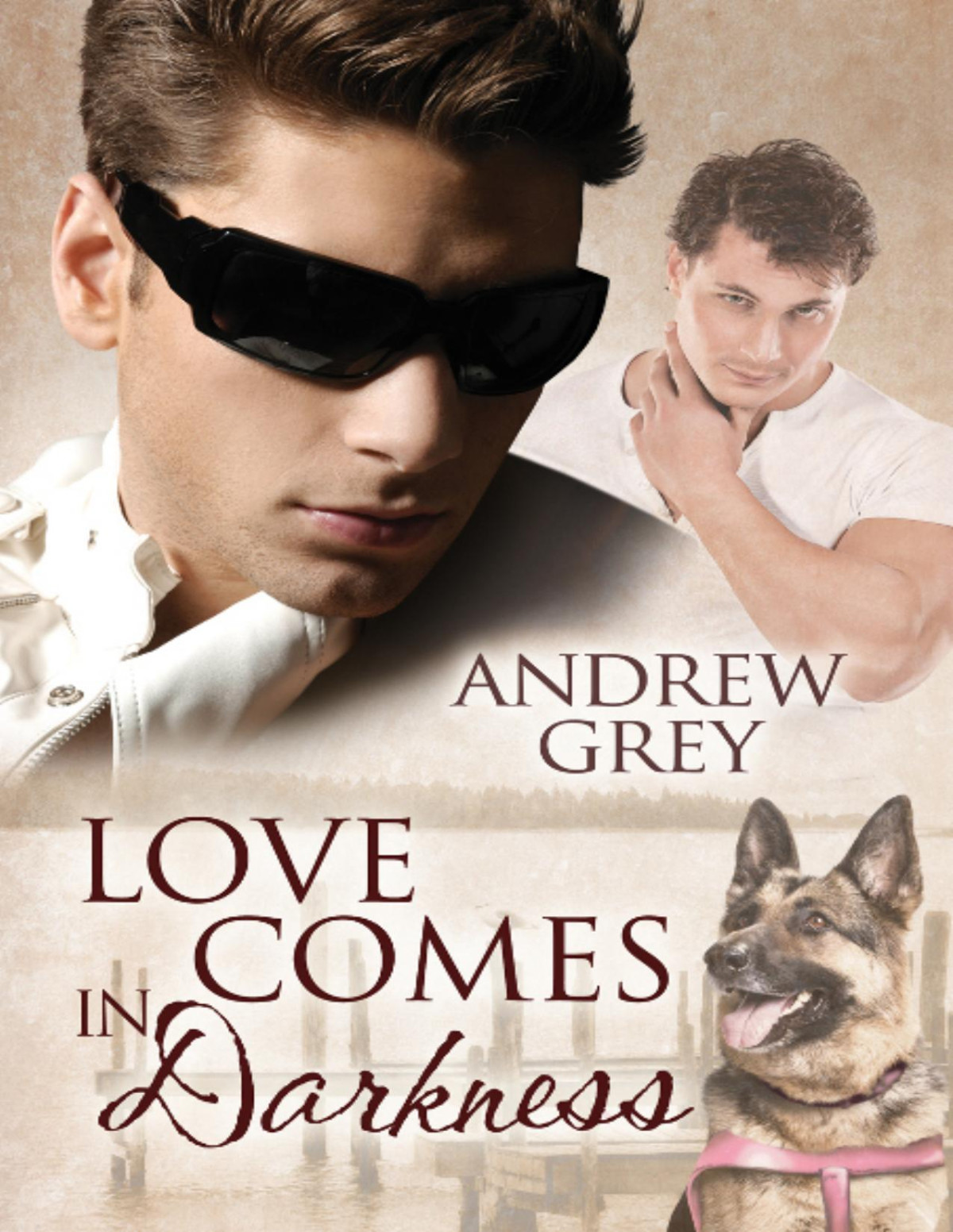 Love Comes In Darkness Andrew Grey