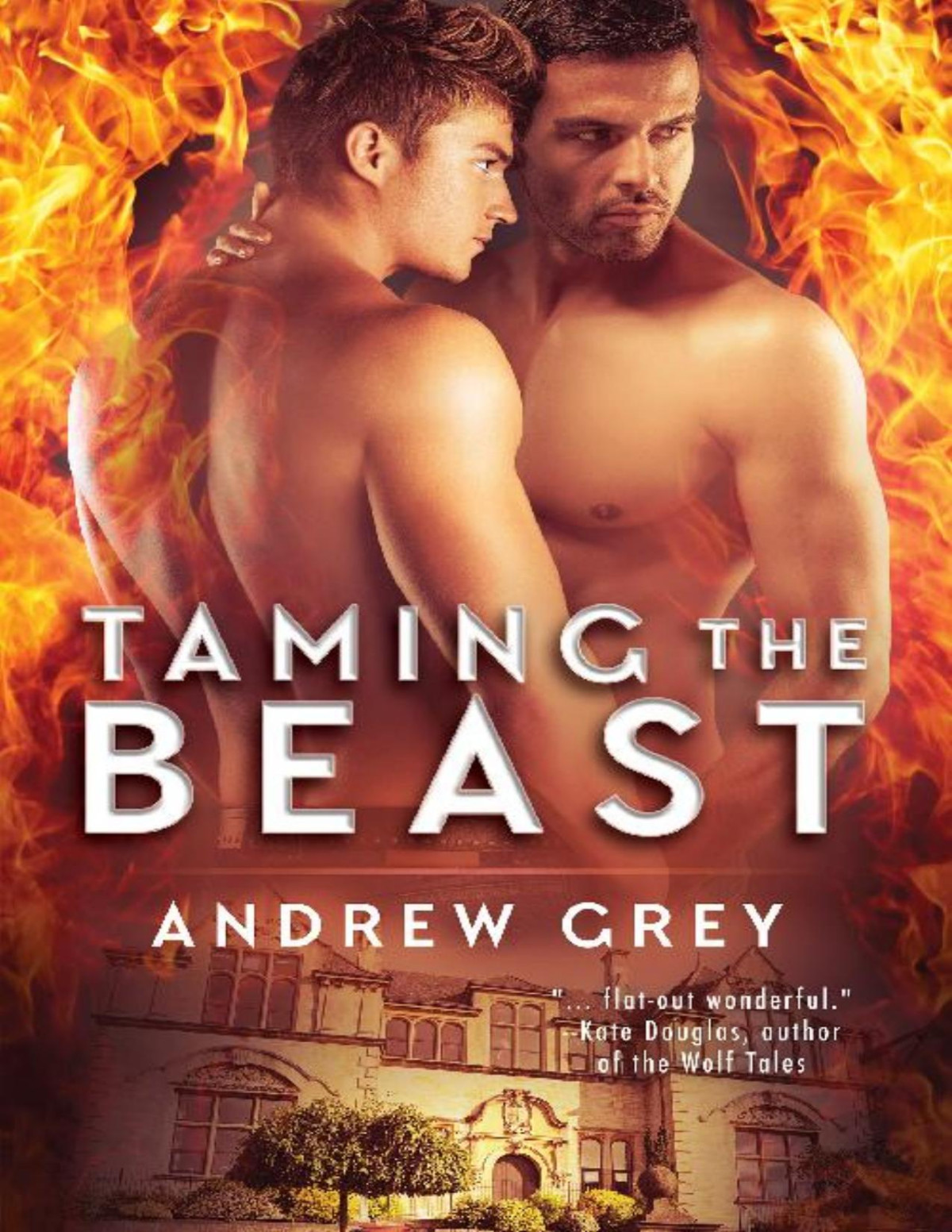 Taming The Beast Andrew Grey