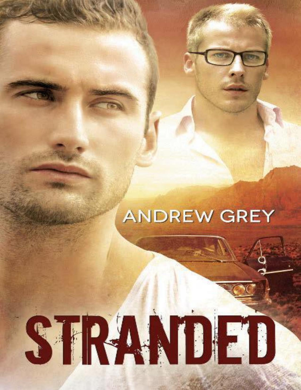 Stranded Andrew Grey