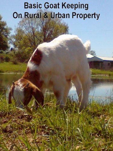 Basic Goat Keeping On Rural Urban Property Rachel Lynn