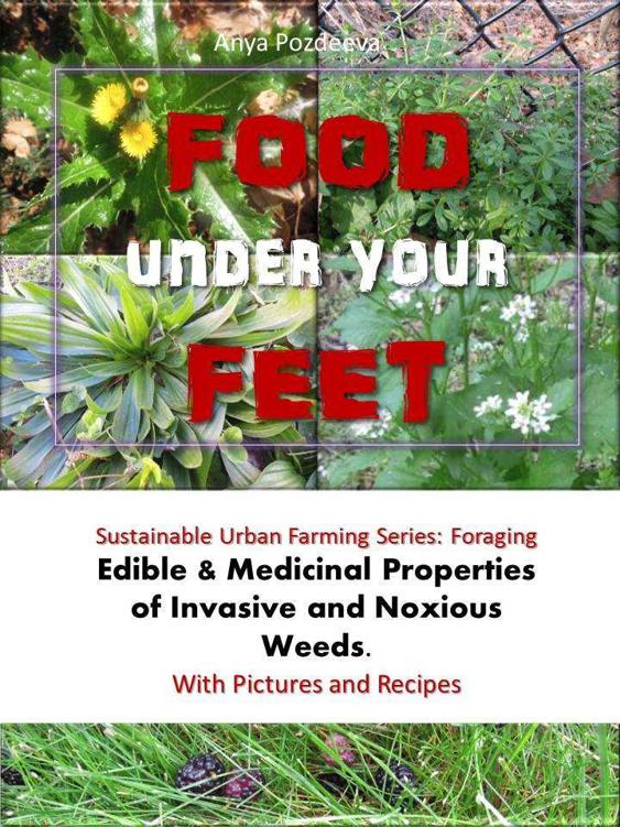 Food Under Your Feet Cooking With Weeds Culinary And Medicinal Uses Of Invasive Weeds Anya Pozdeeva