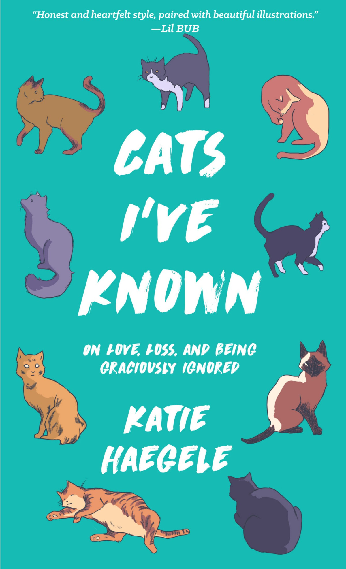 Cats Ive Known Katie Haegele