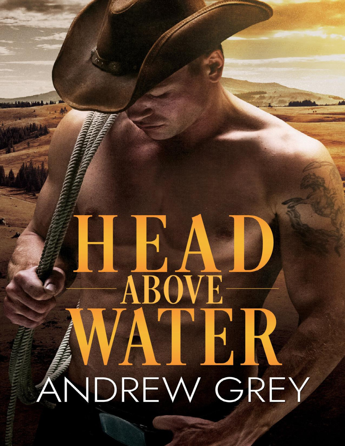 Head Above Water Andrew Grey
