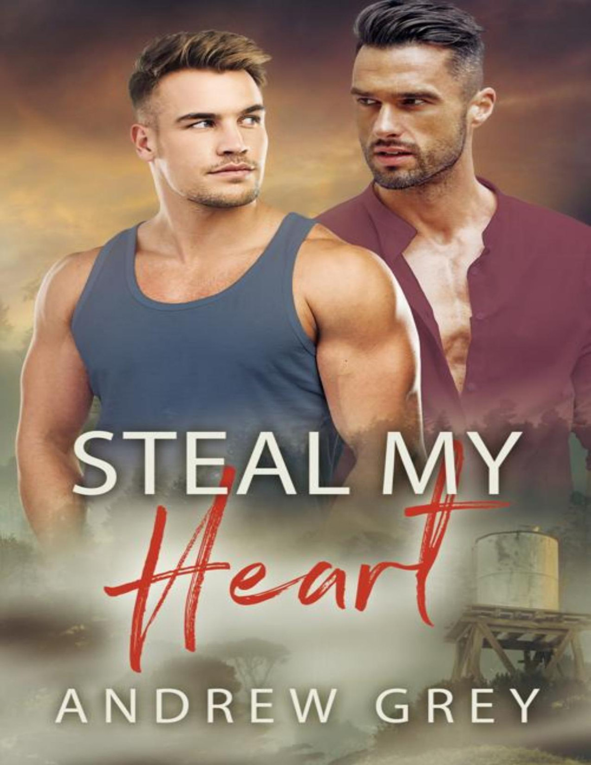 Steal My Heart Andrew Grey