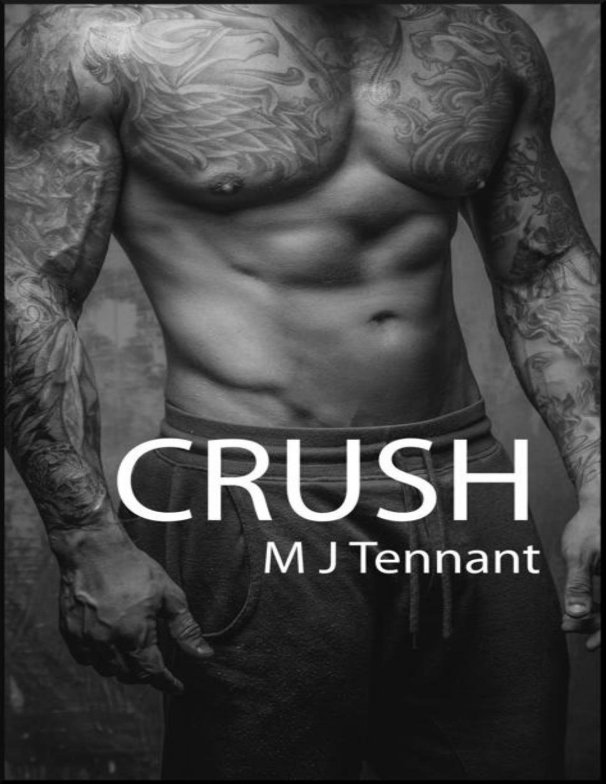 Crush A Bully Enemies To Lovers Alpha Male Dark Romance Book Two Love In London 2 M J Tennant