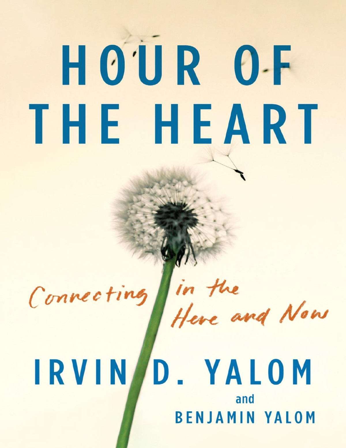 Hour Of The Heart Irvin D Yalom