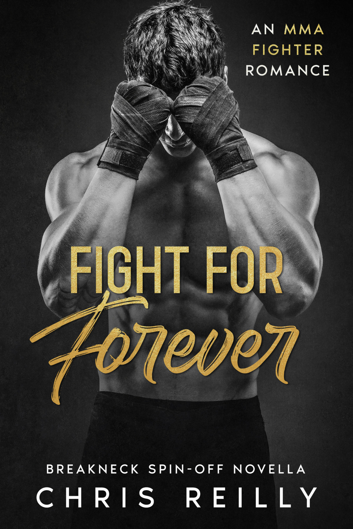 Fight For Forever BreakNeck Rockstar Romance Series 1st Edition by Chris Reilly B0CXR4G1QS