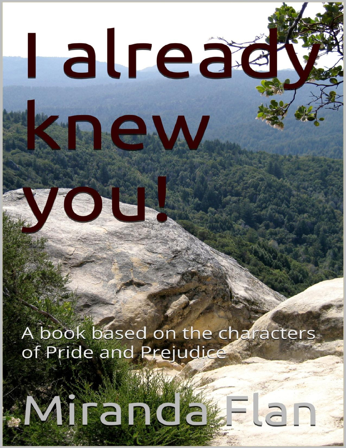I Already Knew You A Book Based On The Characters Of Pride And Prejudice Flan