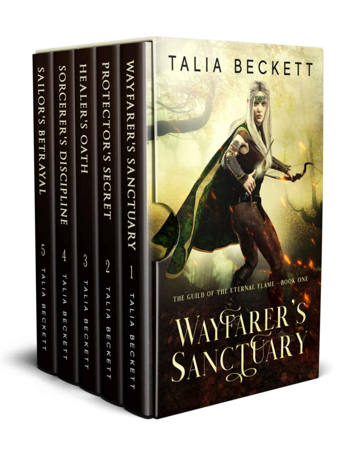 The Complete Guild Of The Eternal Flame Box Set Talia Beckett