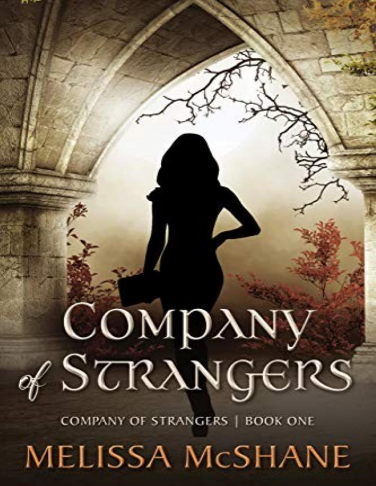 Company Of Strangers Melissa Mcshane