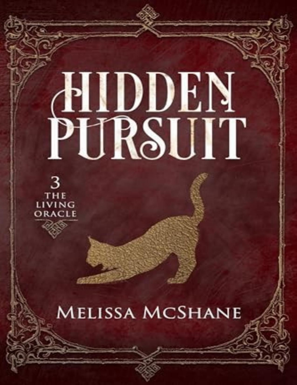 Hidden Pursuit Melissa Mcshane