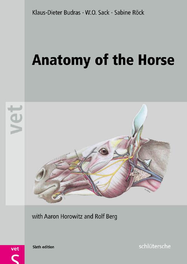 Anatomy Of The Horse 6th Edition 6th Edition Klausdieter Budras