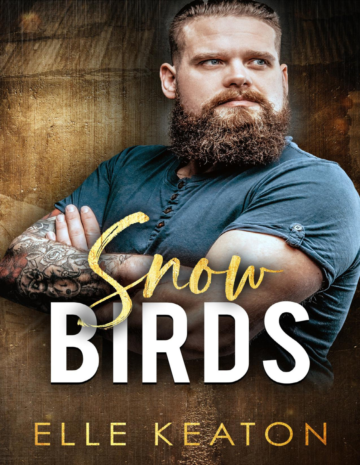 Snowbirds A Reclaimed Hearts Novella Elle Keaton