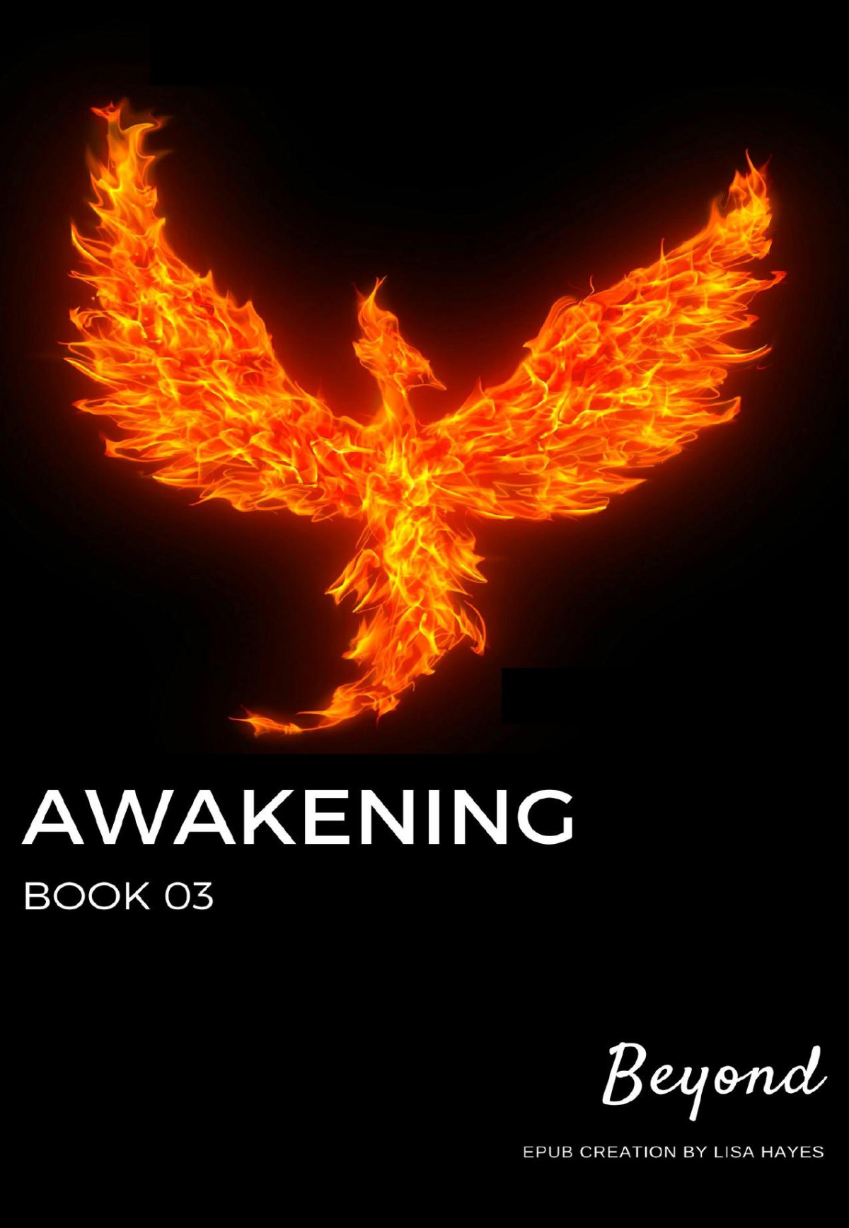 Awakening Book 03 Beyond
