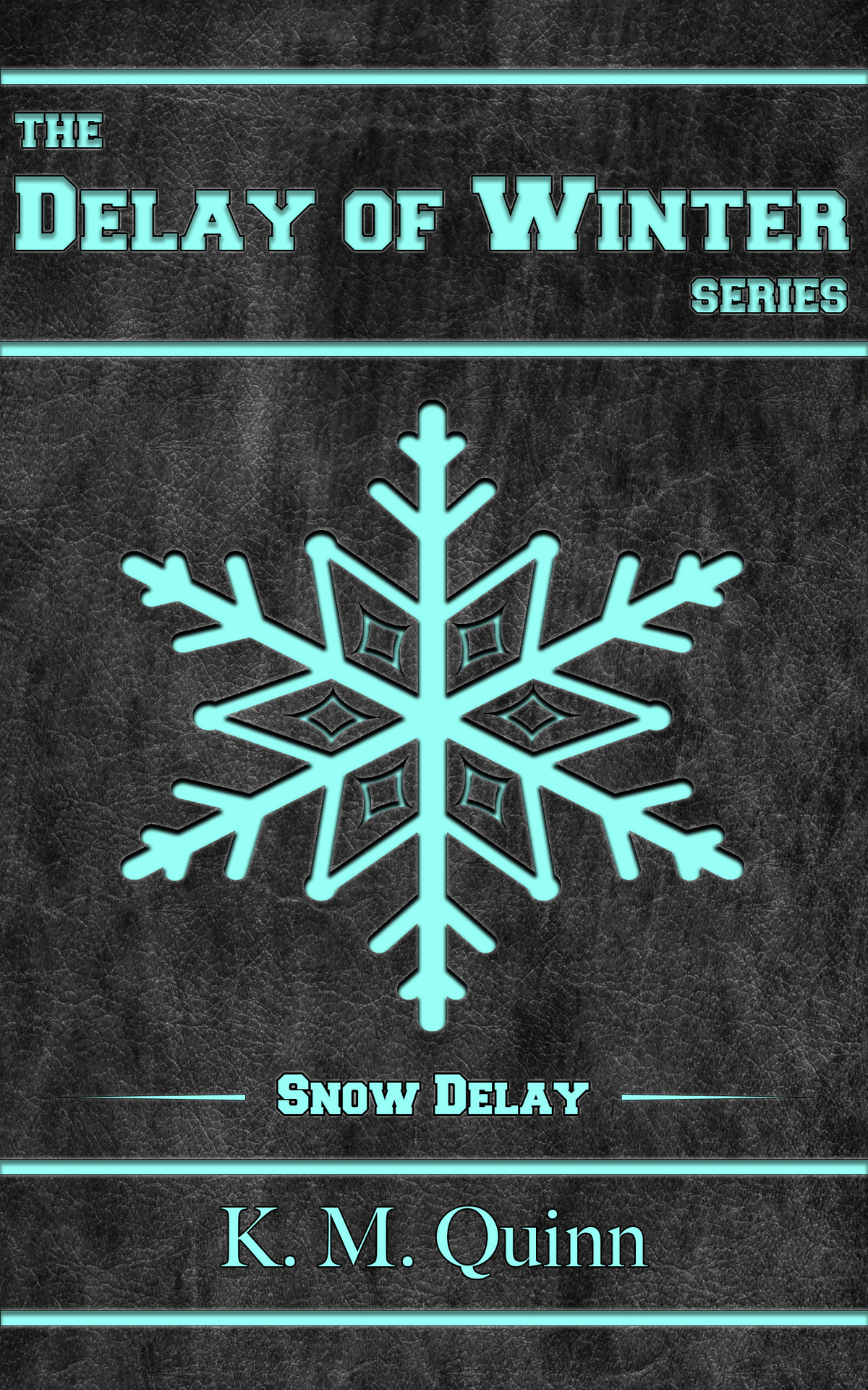Delay Of Winter Snow Delay A Spicy Lgbtq Small Town Hockey Romance K M Quinn