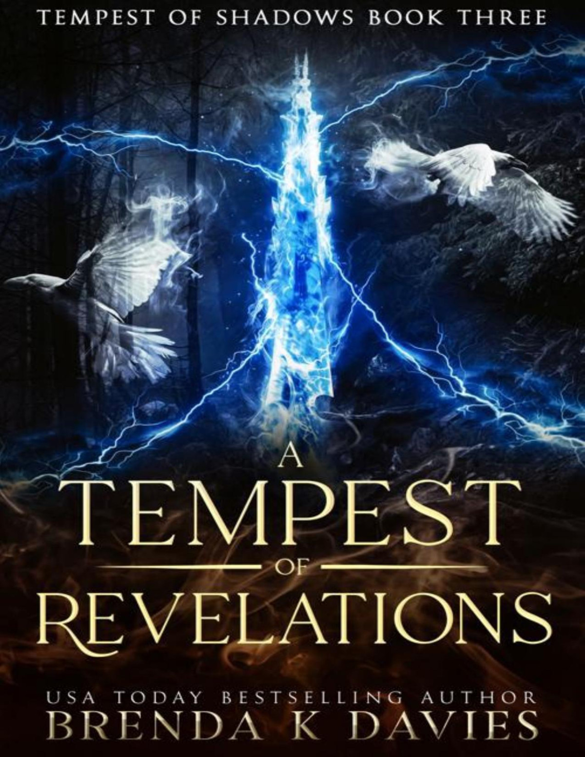 A Tempest Of Revelations Tempest Of Shadows Book 3 Brenda K Davies