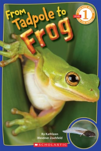 From Tadpole To Frog Illustrated Kathleen Weidner Zoehfeld