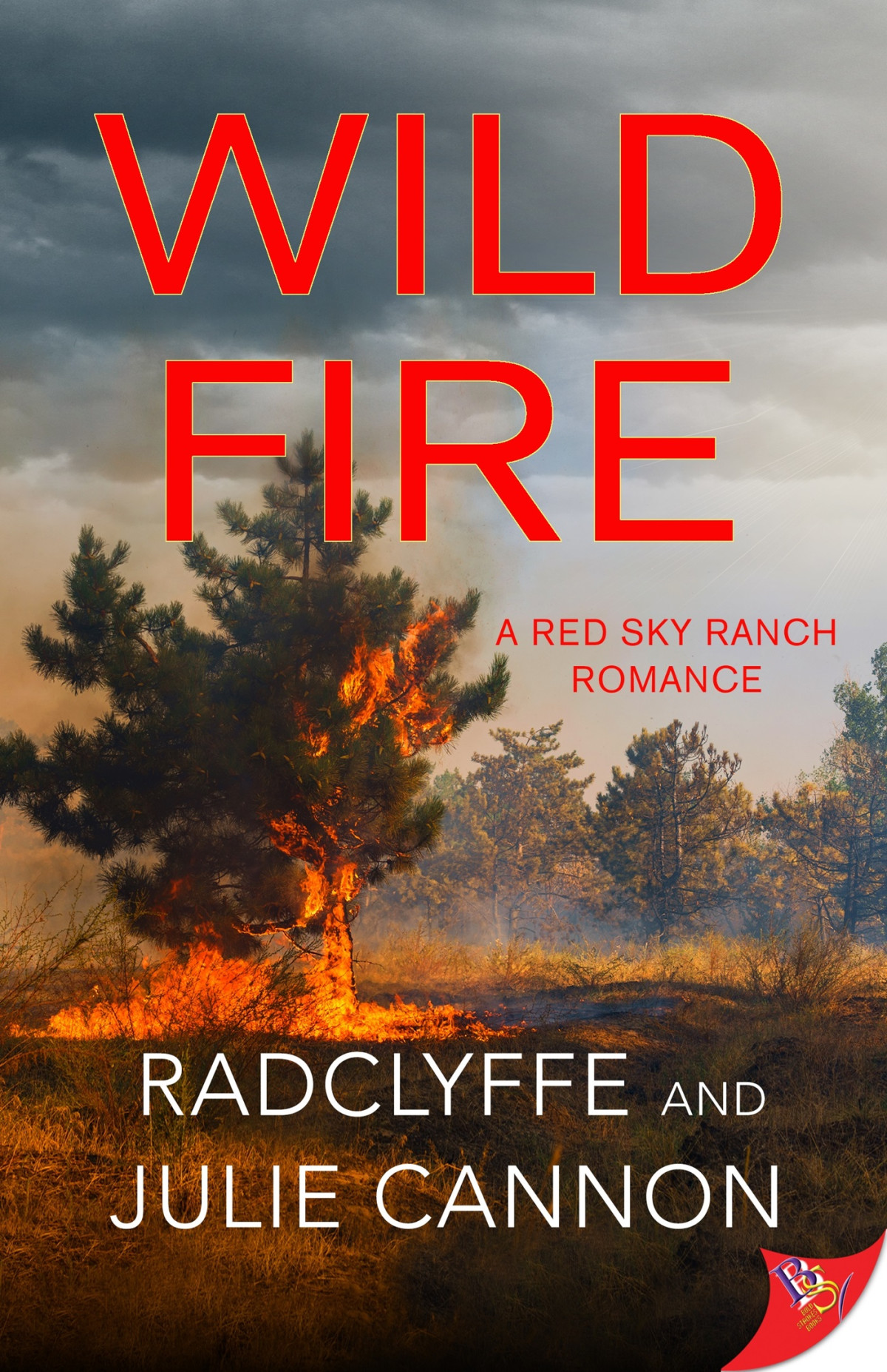 Wild Fire Radclyffe Julie Cannon